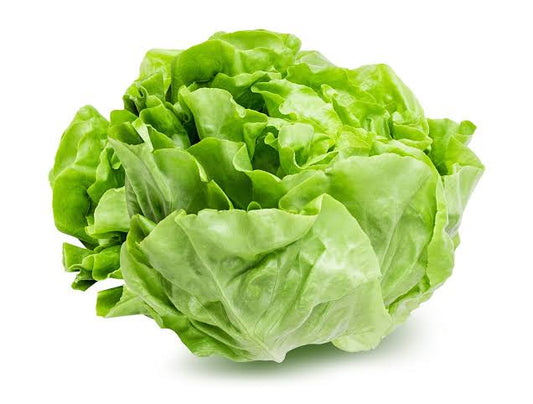 Ice berg Lettuce